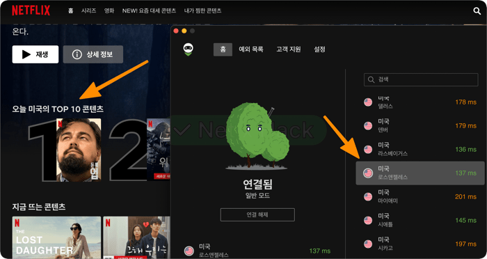 애드가드VPN 넷플릭스 미국 접속