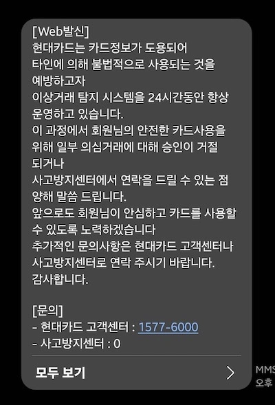 IVPN 카드 결제 시 도용 방지 시스템 가상카드 문제
